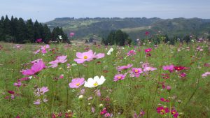 １０月１０日
