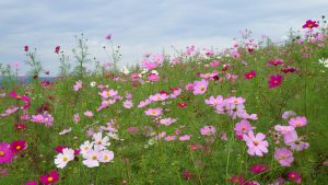 １０月１０日
