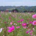 １０月９日