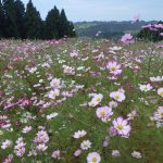 １０月９日