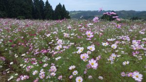 １０月１０日