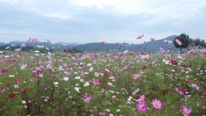 １０月１０日