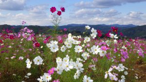 10月16日