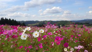 10月16日