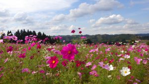 10月16日
